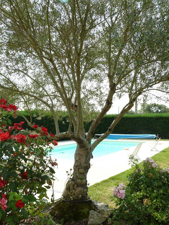Le Clos De La Vigne Montreuil  Bagian luar foto